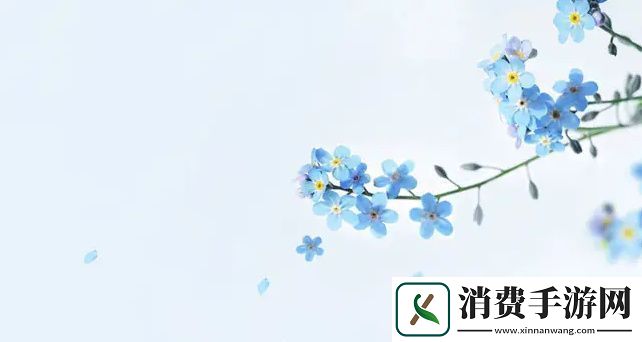 成色18k1的优雅与魅力