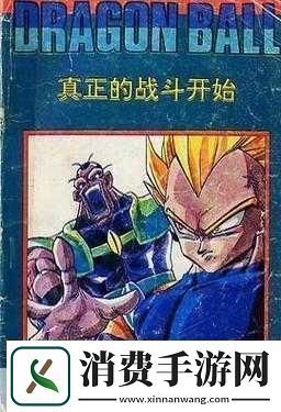 感受真正的战斗激情燃烧的战斗之心