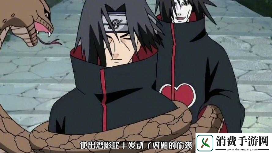 佐助击败大蛇丸后成立的小队叫做什么