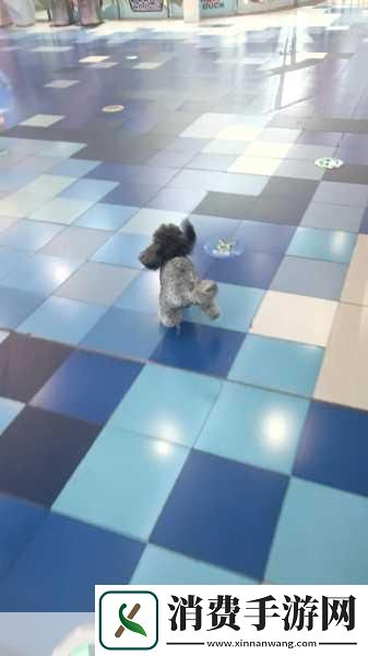 在这个快节奏的生活中