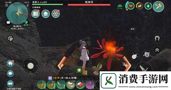 创造与魔法中各类花的用途或者创造与魔法里各种花的作用