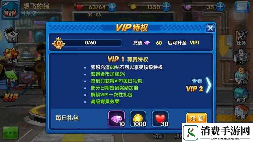 跑跑卡丁车手游特权详情查询