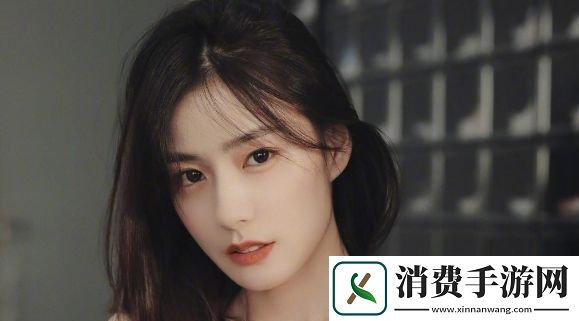 成免费CRM播放模式的特点用户友好友