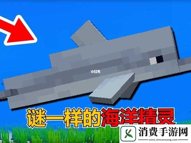 我的世界海豚的饲养方法与步骤