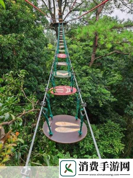 在这个充满奇幻与冒险的数字时代