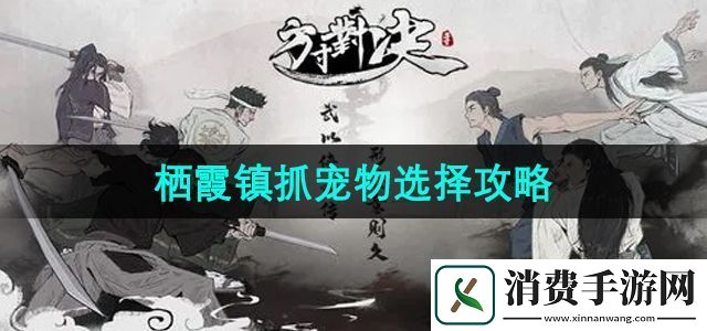 方寸对决栖霞镇抓宠物选择什么栖霞镇抓宠物选择攻略