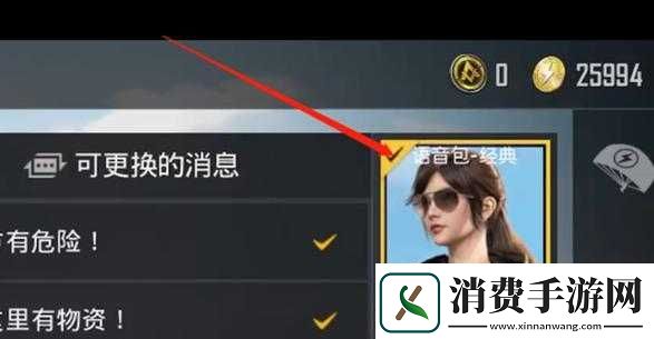 和平精英快捷消息键如何更改