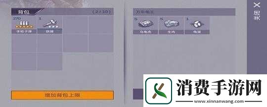 阿瑞斯病毒万年龟王位置及打法攻略