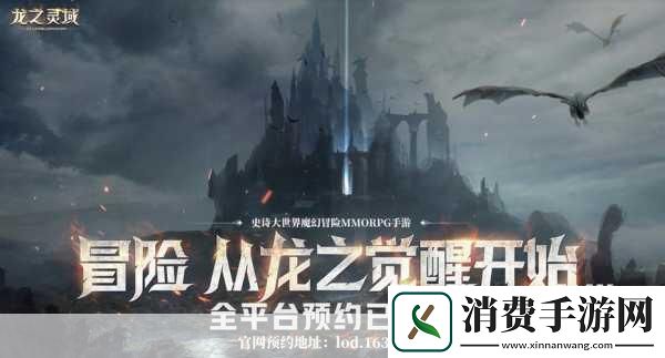 对于无数RO（Ragnarok