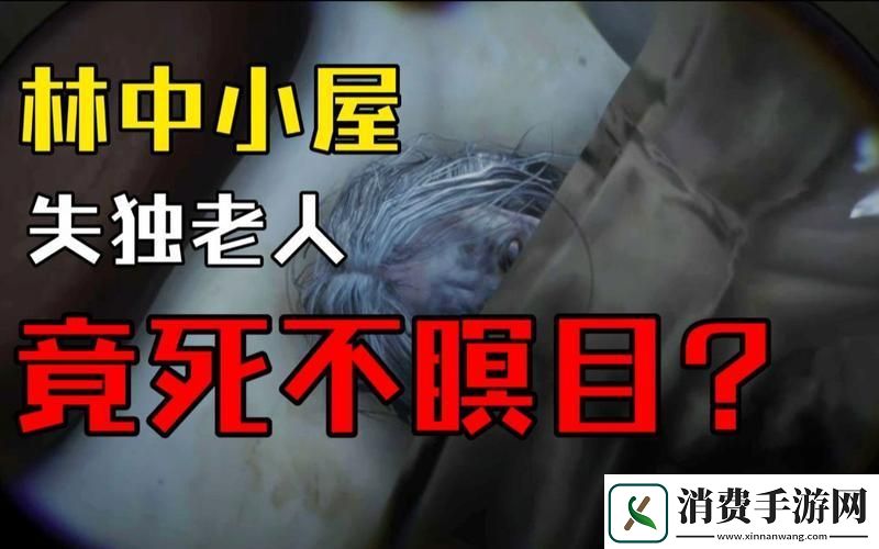 荒野大镖客2老太太木屋