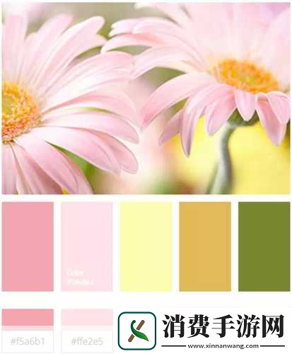 477xc色卡1.从477xc色卡看家居装饰的色彩灵感