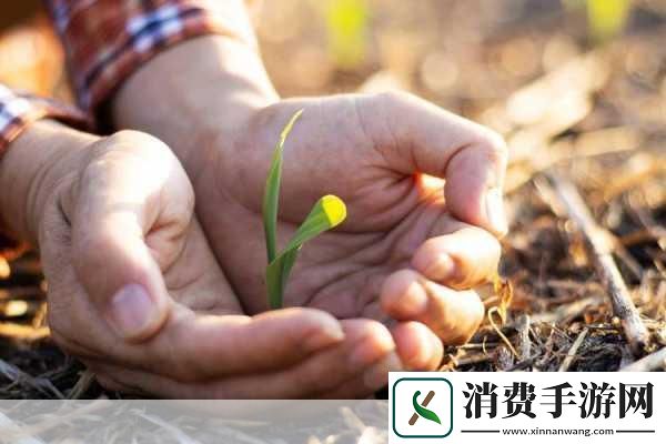 校园绑定JY收集系统宋涵