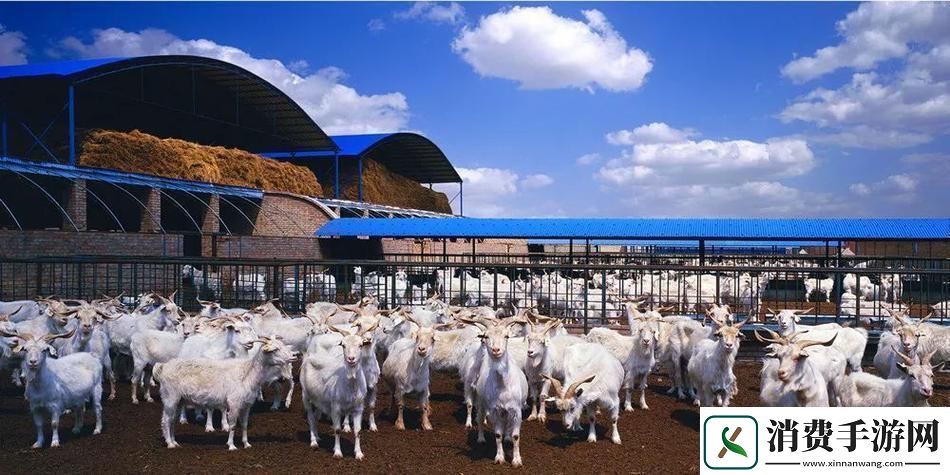 “科普人马畜禽”狂潮来袭游戏界的新宠儿！