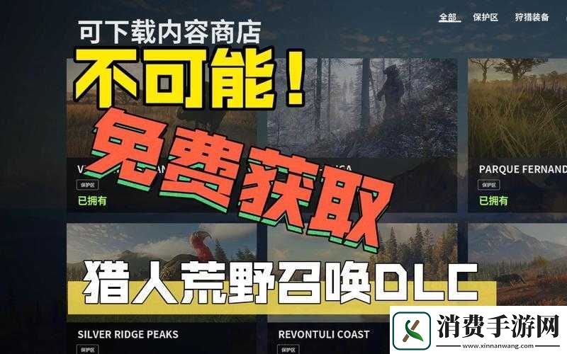 猎人荒野呼唤名侦探成就攻略