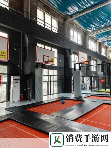 独家揭秘刀剑神域改编手游新篇