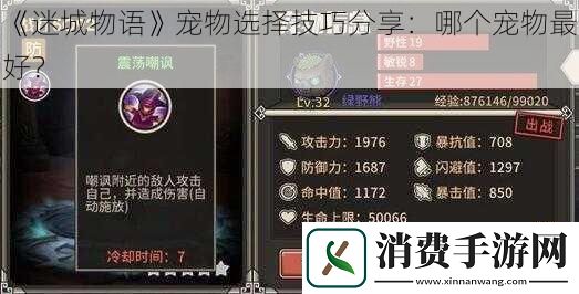 迷城物语宠物选择技巧分享