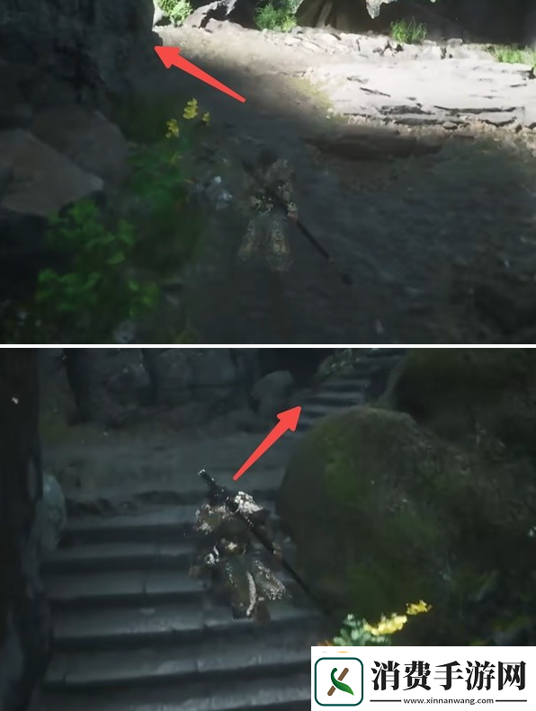 黑神话悟空猴头菌种子怎么获得猴头菌种子获取攻略