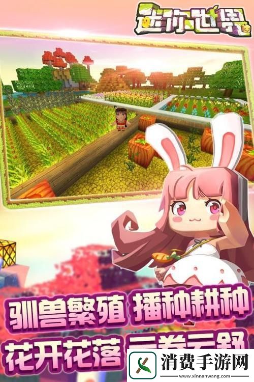 迷你世界四周年4399游戏盒版