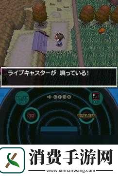 口袋妖怪黑2恋爱事件完全攻略