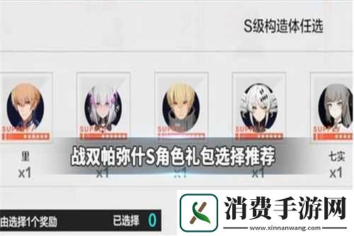 战双帕弥什S级冰雷队输出技巧与策略