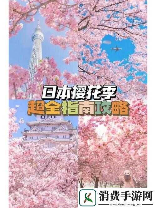 千年樱花本通关攻略要点