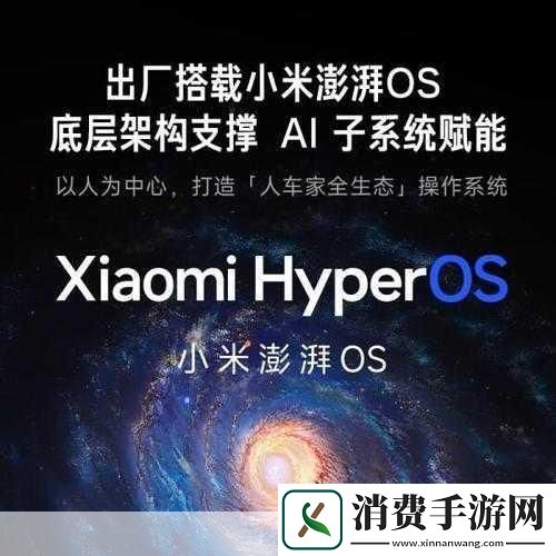 手游界瞩目！小米荣登2024财富世界500强玩家共庆新篇章