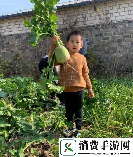 拔萝卜又叫黄降9.1