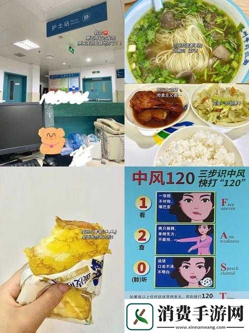 肉食教师食取报告3HD