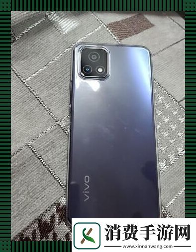 “一级成色好的Y31S”