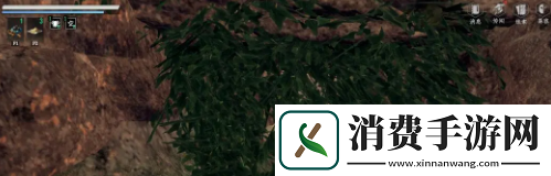 下一站江湖2白首太玄经怎么获得