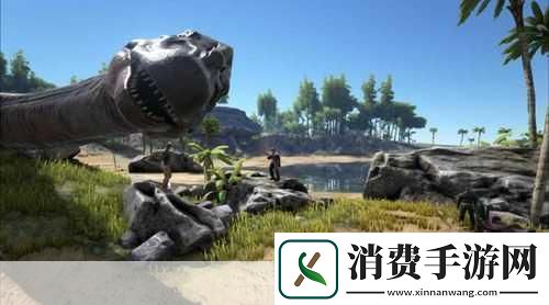 独家揭秘Xbox意外乌龙