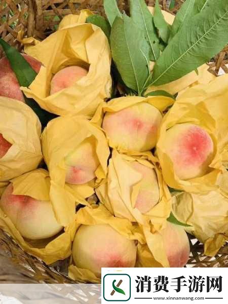 日本水蜜桃品种岭风岭**蜜桃的种植与品尝之旅