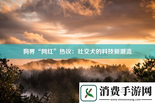 狗界“网红”热议