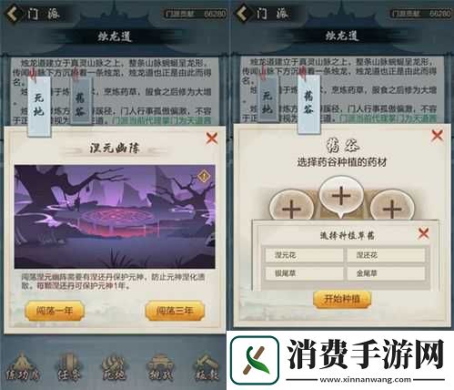 修仙门派养生流玩法探讨