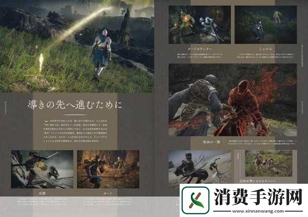 宫崎英高揭秘艾尔登法环背后的极限挑战与未来展望