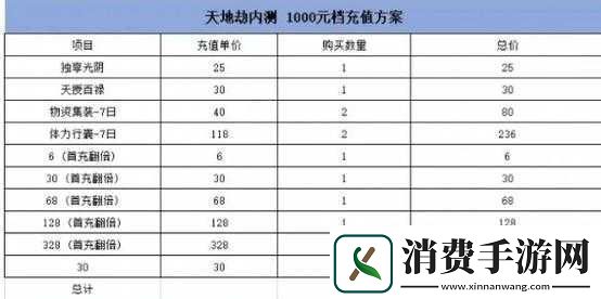 天地劫手游充值策略解析