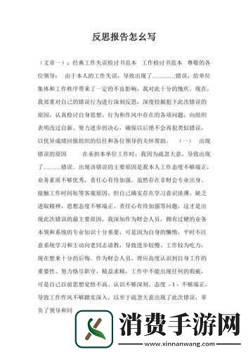 九.幺事件的影响及反思