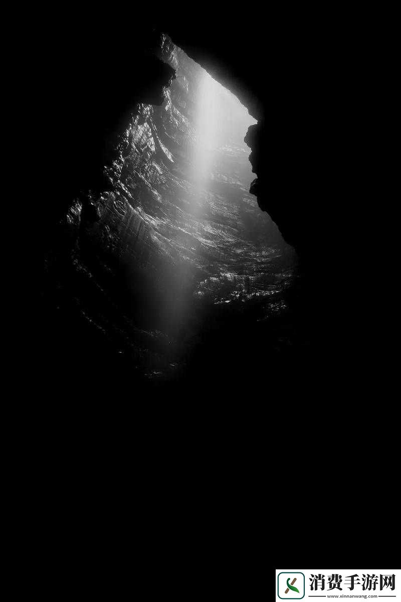 饥荒黑夜之手功能与代码推荐