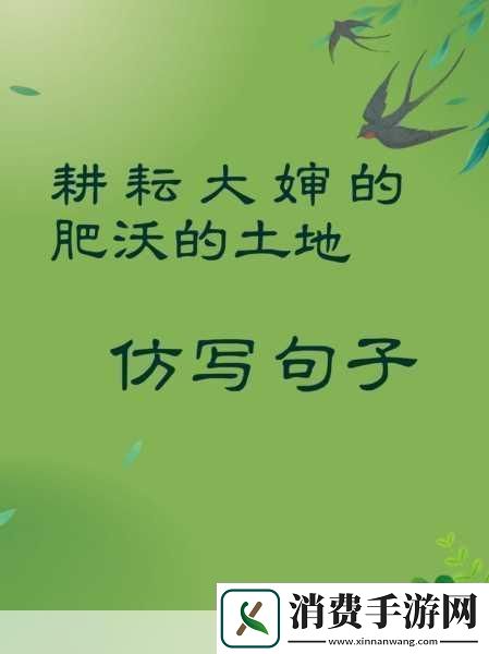 耕耘大婶的肥沃的土地1.耕耘大婶的肥沃土地