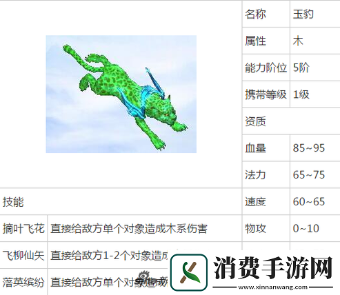 问道手游坐骑玉豹深度解析