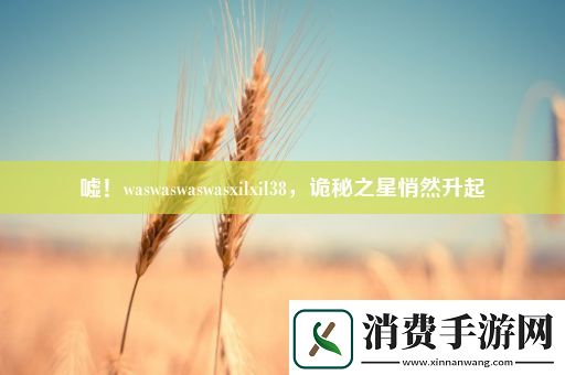 嘘！waswaswaswasxilxil38