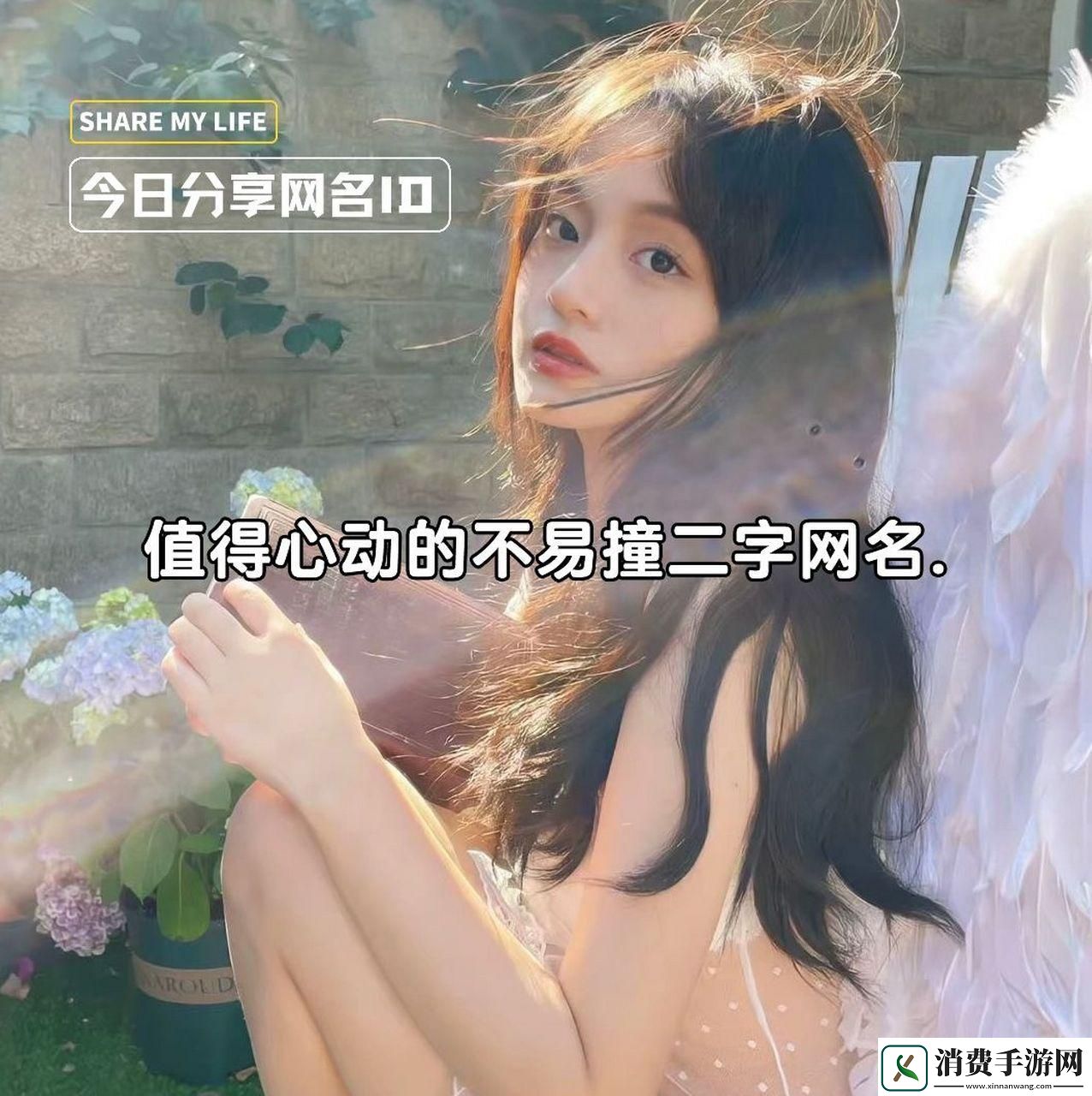 名界的神秘传说