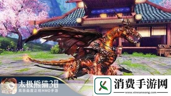 独家揭秘太极熊猫3