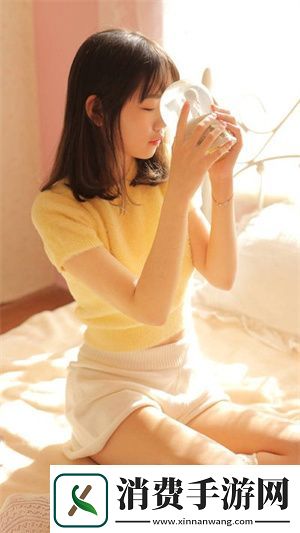 未来已至！日本WindowsServer深度优化