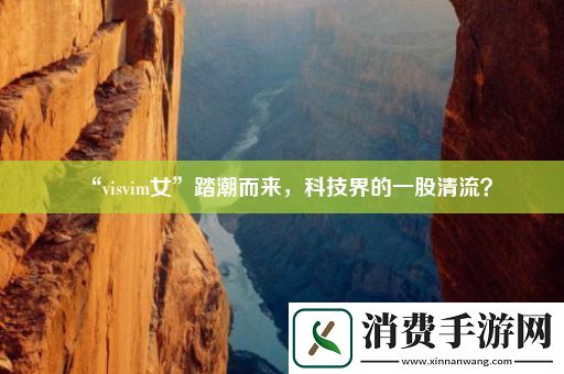 “visvim女”踏潮而来