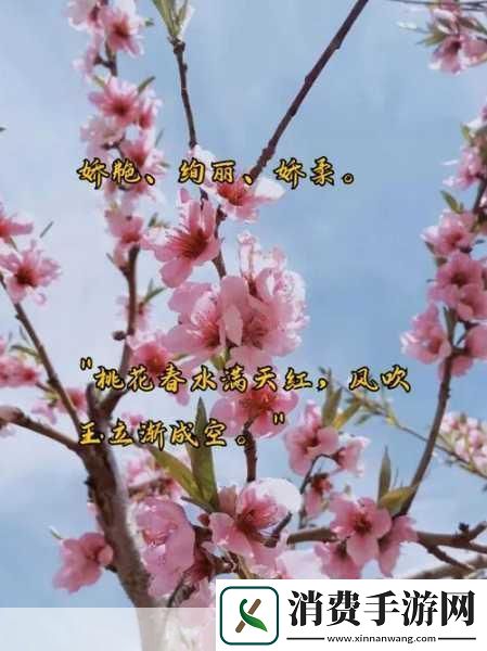 桃花流水芳草萋萋