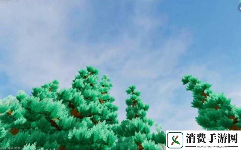 光影世界中的艺术创作