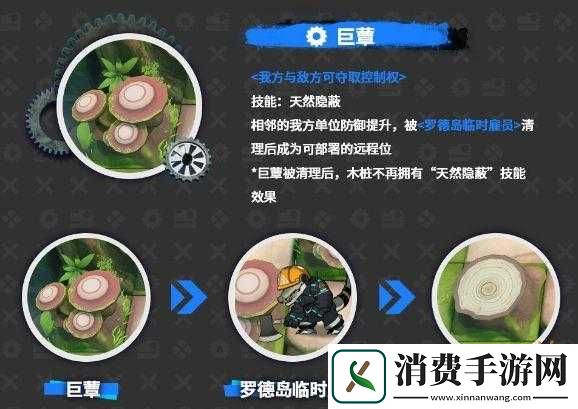 明日方舟密林悍将活动玩法与要点