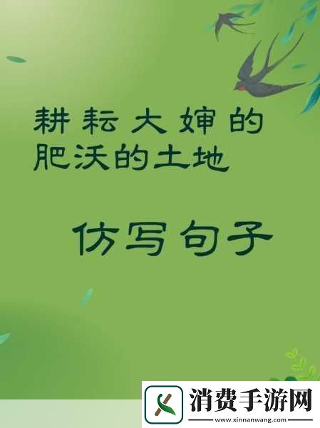 耕耘大婶的肥沃的土地