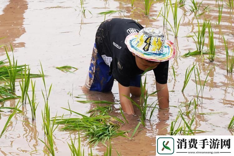 耕云播雨不伤筋创新妙招逗趣谈